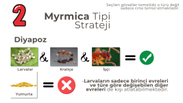 Heterodinamizm (7).png