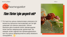 Heterodinamizm (10).png