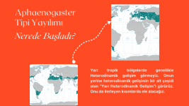 Heterodinamizm (11).png