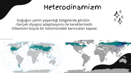 Heterodinamizm.png