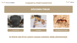 Alate Yetiştirme Adaptasyonu (7).png