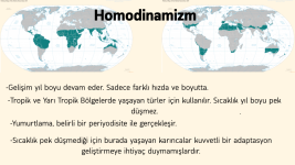 Alate Yetiştirme Adaptasyonu (13).png