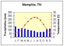 memphis.jpg