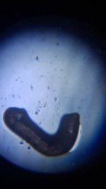 20260531_211546.jpg