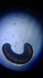 20260531_211547.jpg