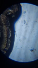 20260531_211610.jpg