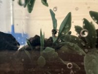 IMG_3302.jpeg