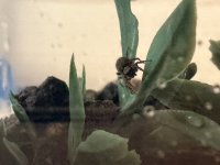 IMG_3303.jpeg