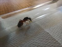 IMG_20260601_133019.jpg
