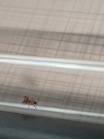IMG_20260601_143025.jpg
