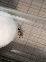 IMG_20260601_142848.jpg