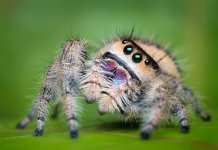 IMG_2454.jpeg