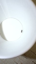 IMG_7111.jpeg