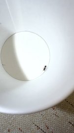 IMG_7112.jpeg
