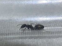 IMG_1019.jpeg