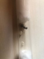 IMG_3074.jpeg