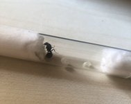 IMG_3072.jpeg