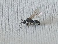 20260603_150834.jpg