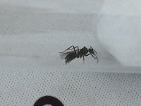 20260603_144941.jpg