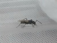 20260603_144919.jpg