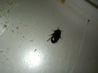 IMG_20260603_181629.jpg