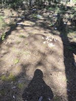 IMG_20260604_143509.jpg