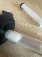 IMG_3981.jpeg