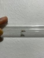 c277b242-a3e0-4ace-a281-d59dae94e3d5.jpeg