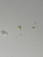 IMG_20260605_122304.jpg