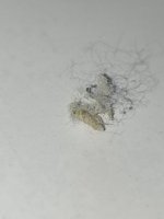 IMG_20260605_121735.jpg