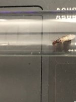 IMG_1412.jpeg