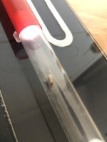 IMG_1414.jpeg