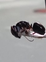 20260605_210257.jpg