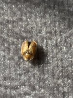 IMG_0542.jpeg