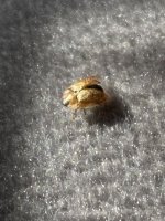 IMG_0544.jpeg