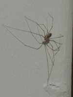 IMG_0469.jpeg