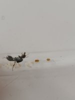 IMG_20260606_162751.jpg