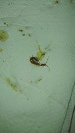 IMG_20260606_194221.jpg