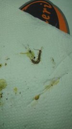 IMG_20260606_194301.jpg