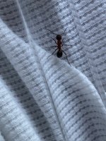 IMG_4354.jpeg