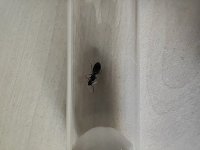 IMG_20260607_142537.jpg