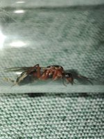 IMG_20260607_200159.jpg