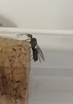 WhatsApp Image 2026-06-07 at 21.45.37.jpeg