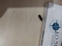 IMG_20260607_222810.jpg