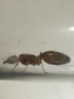IMG_5993.jpeg