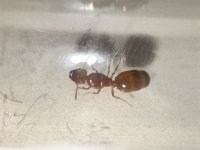 IMG_5989.jpeg