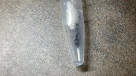 IMG_8547.jpeg