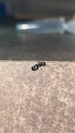 93e3faea-97d7-48ca-8e6f-ec10786bce15.jpeg