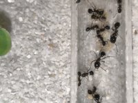IMG_20260609_143708.jpg