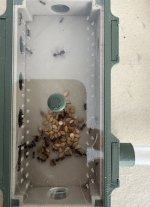 IMG_0359.jpeg
